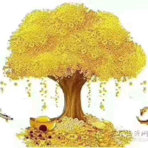 陈姐