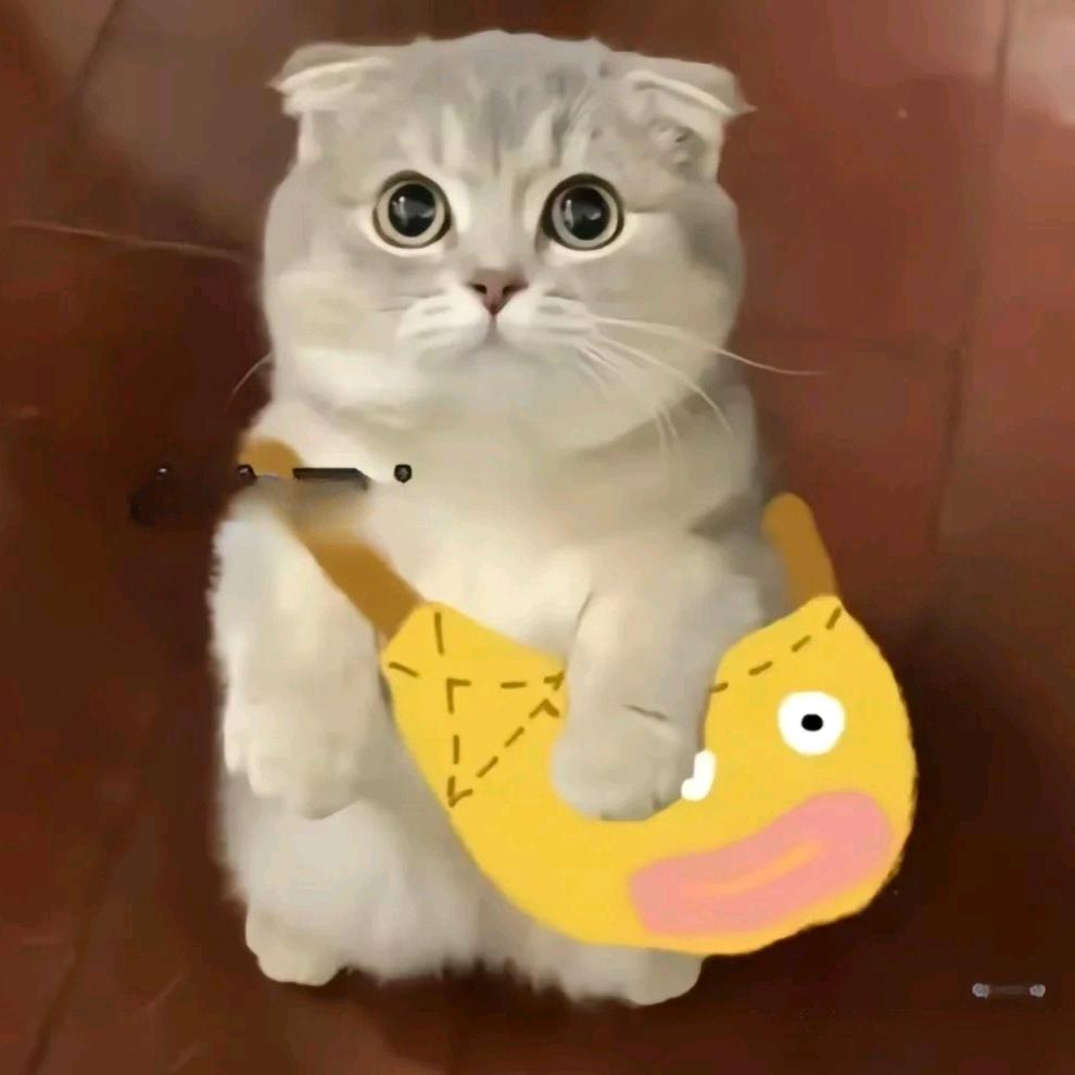 泽宇短剧分享🖤