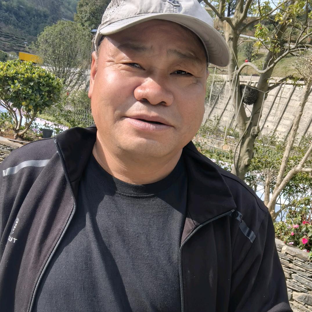 平淡之光