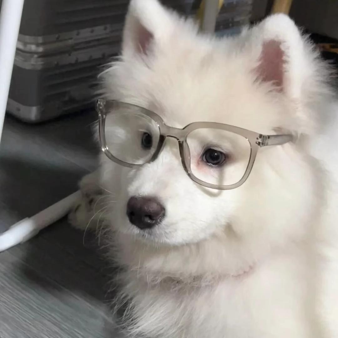 庸人.