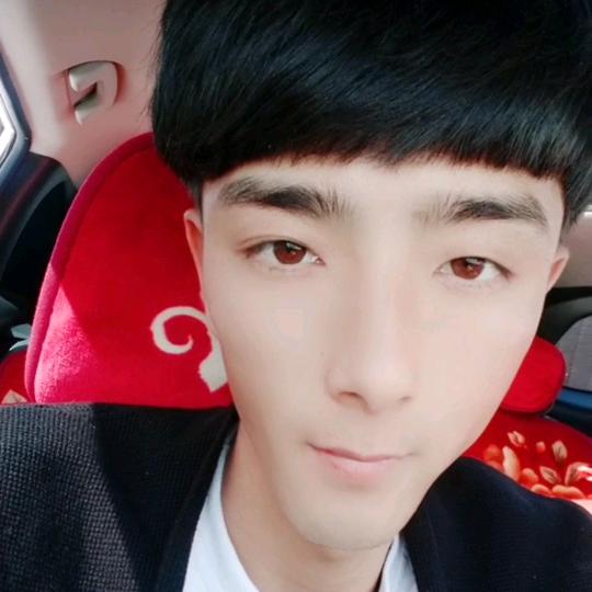 宁夏小黑硒砂瓜