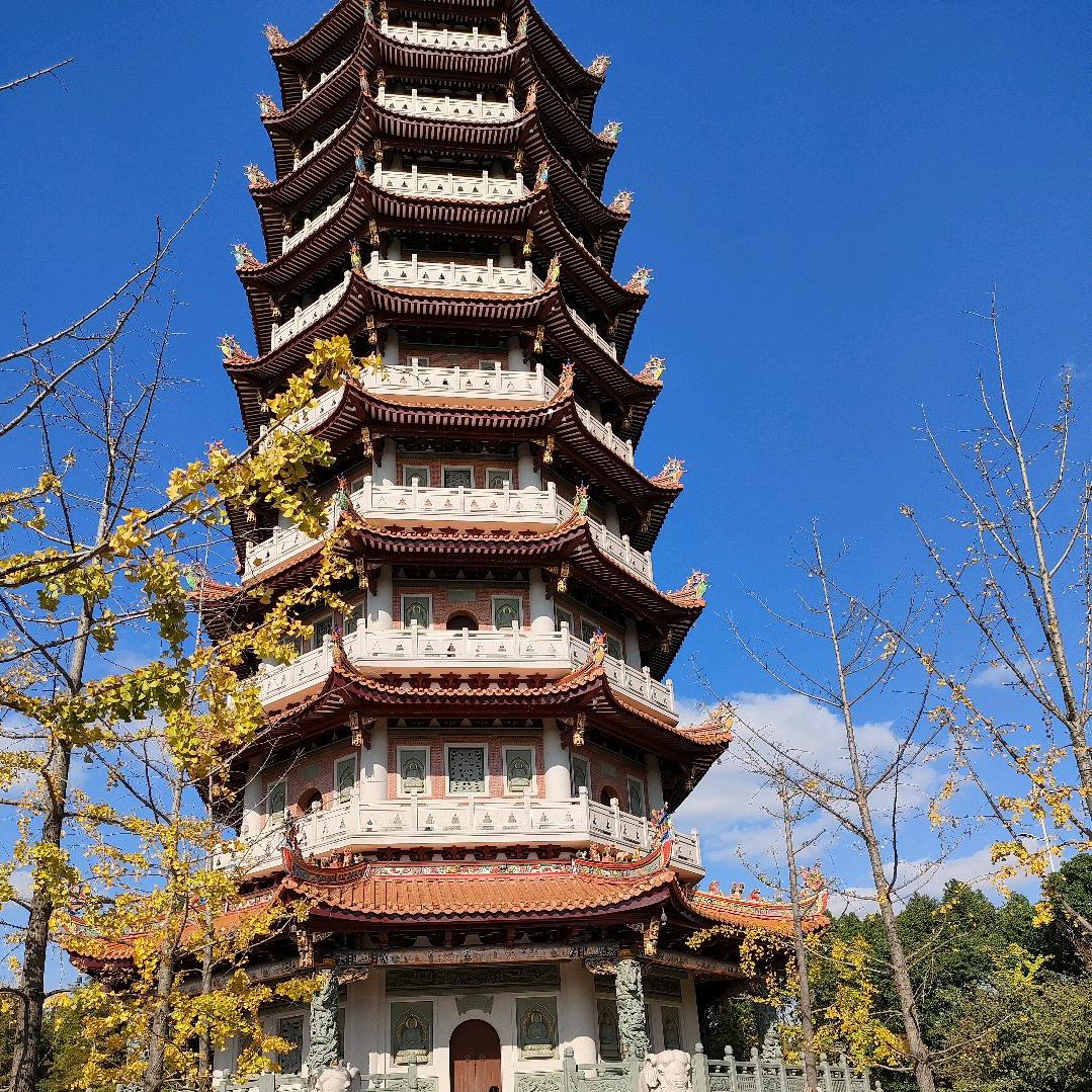 哦哟，