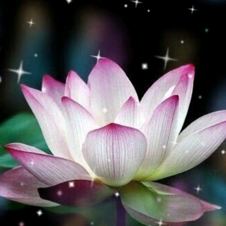 欢喜❤️😊☀️