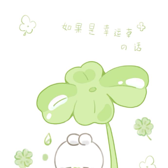 睡不醒的十二少