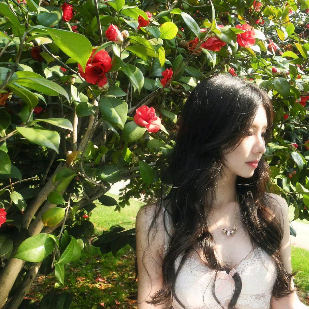 田美