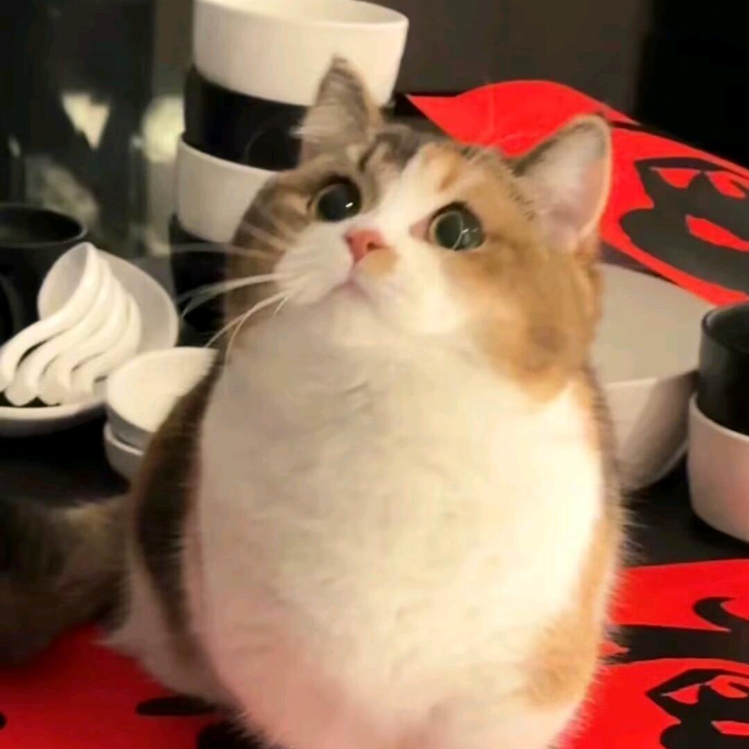 🌈无敌爆欧莲生生