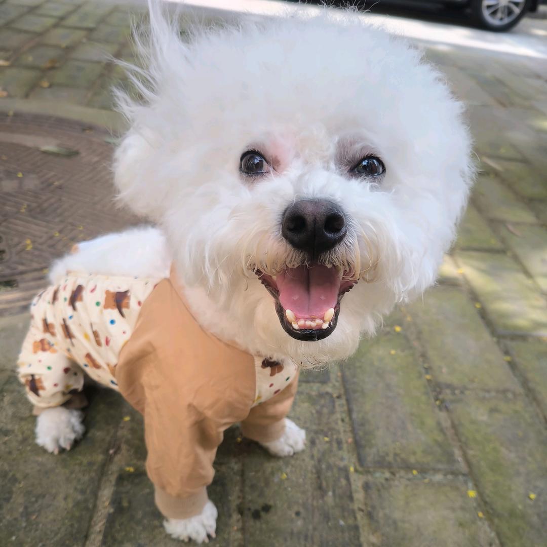 鹿汤圆児ꦿ໊ོ⁵²🍼