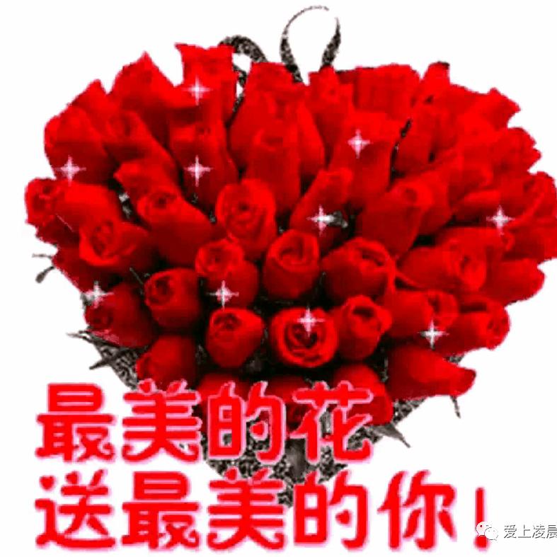 万桥会的顾良远头像