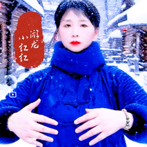 游龙.太极养生道