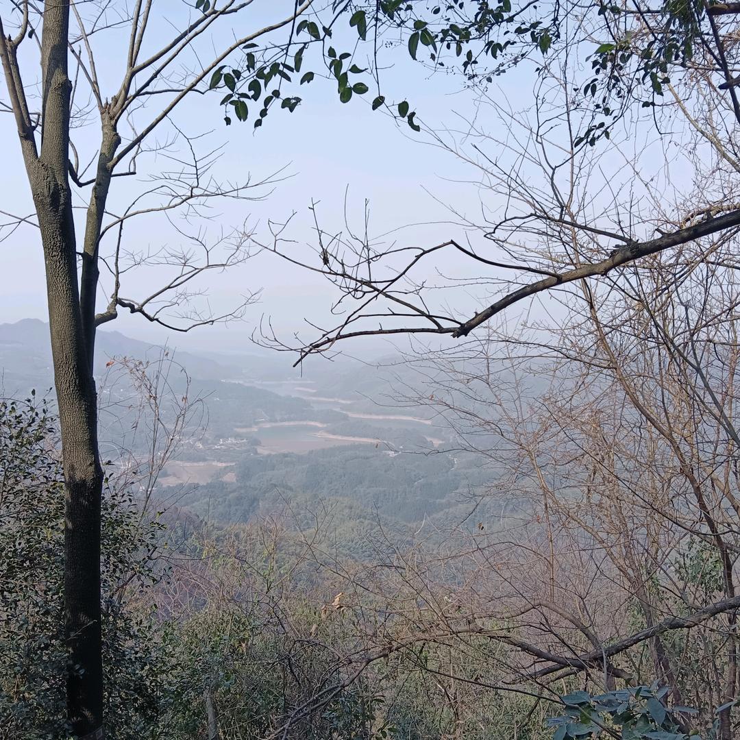 独孤￠心寒（清醒版）