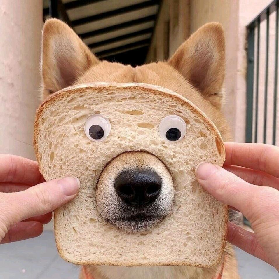 超级暗黑暴龙战士