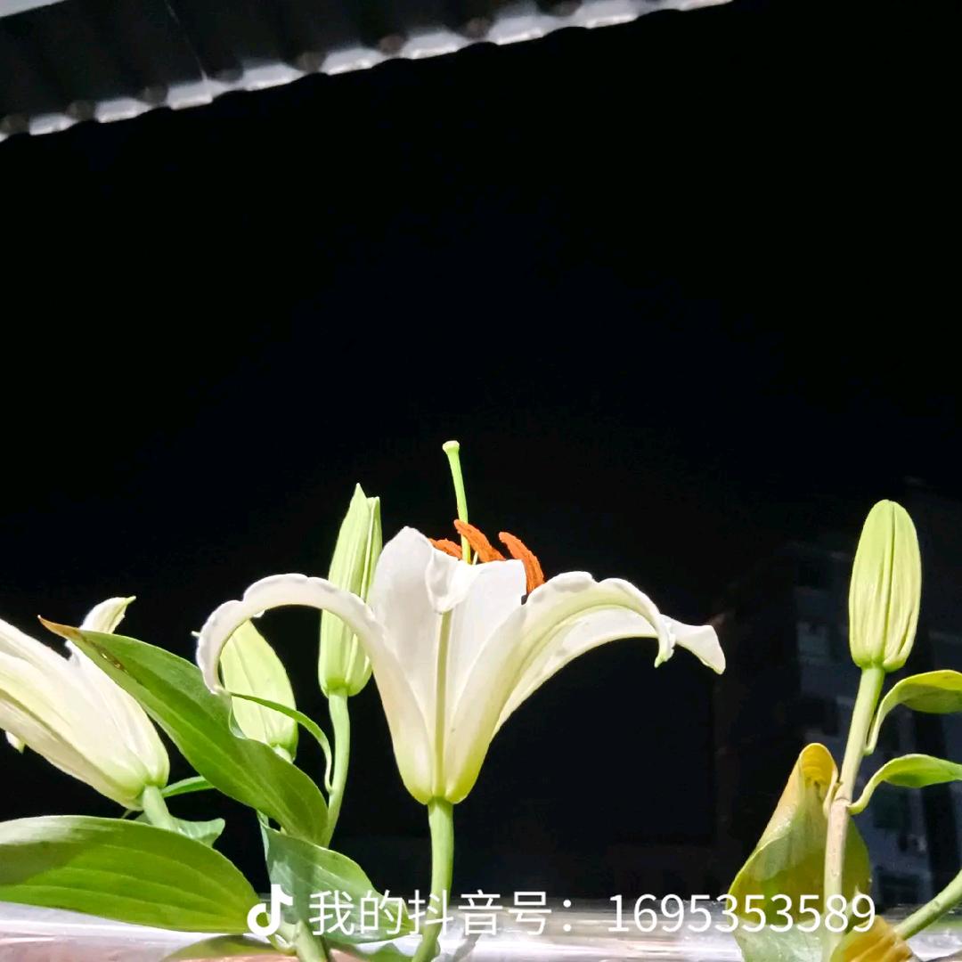 💗᭄໑ຼₒ₂5ღ᭄丫头《拒绝私聊》