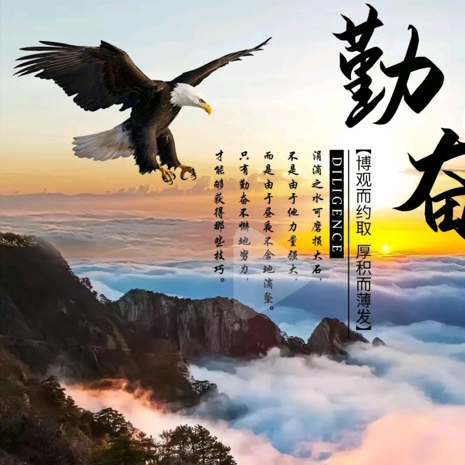 用户黑鹰