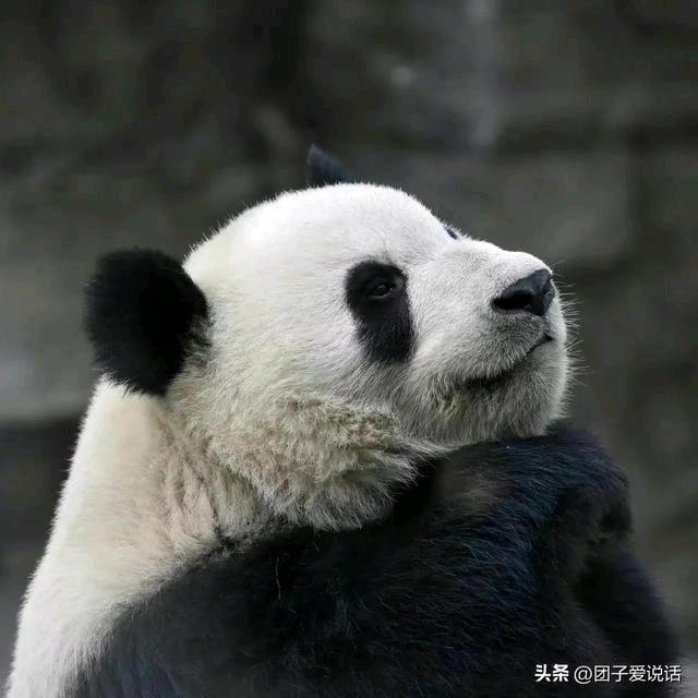 童颜