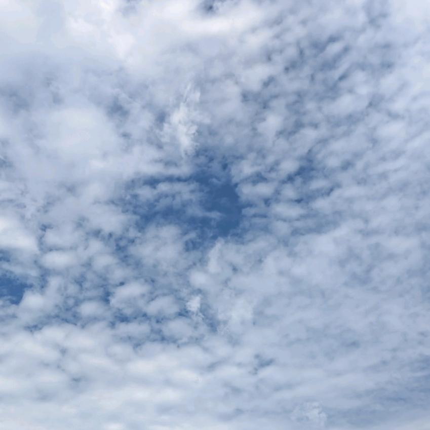 独为一人饮尽悲欢