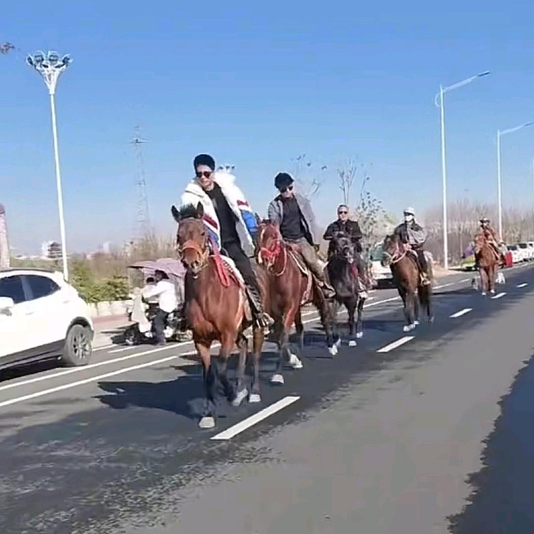 🐎商城县狂飙马术坤哥🐎