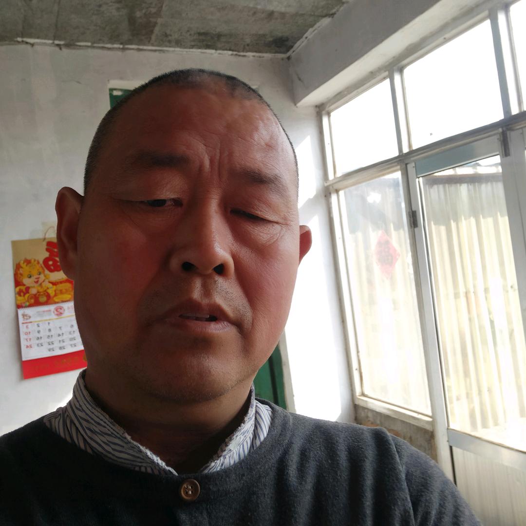 汤头朱歌（3点50直播）