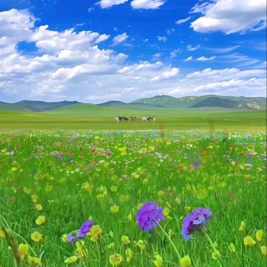 嘟韵兵哥
