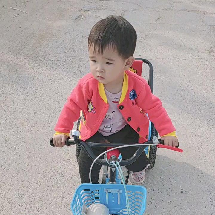 凤姐