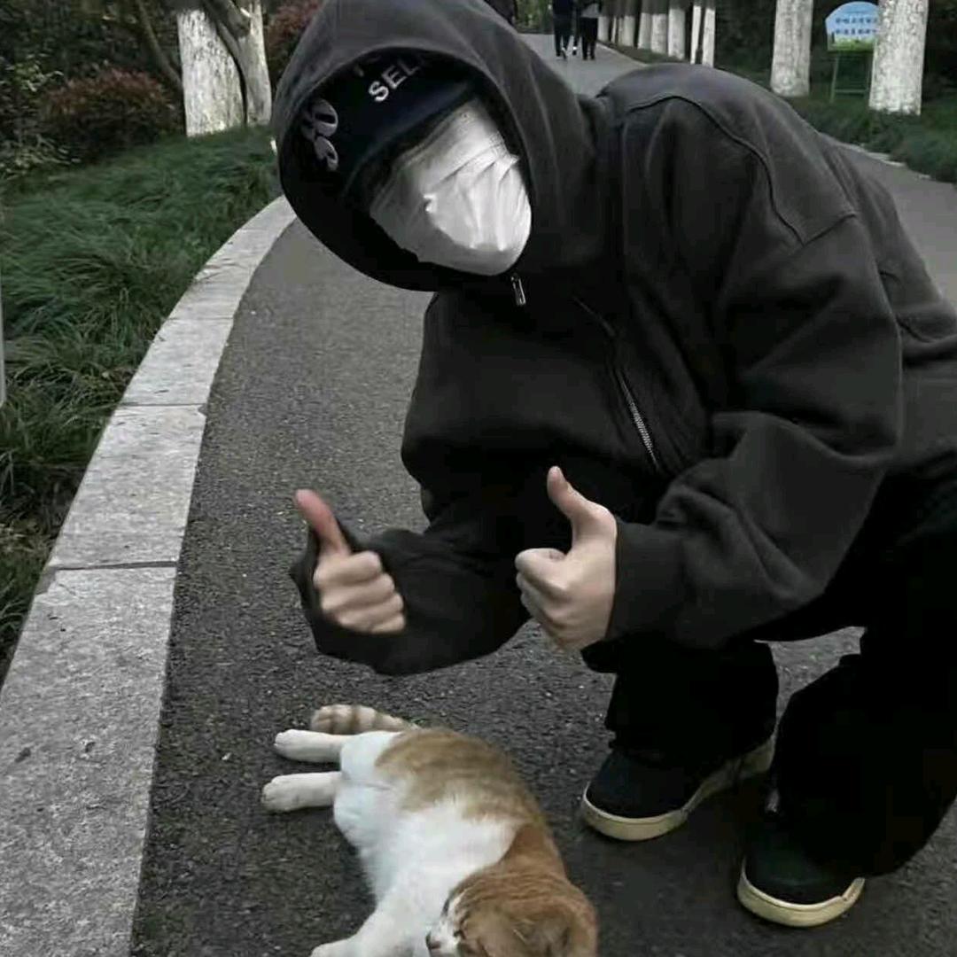 西红柿炒鸡蛋只吃西红柿