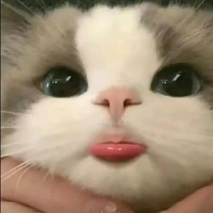小宇