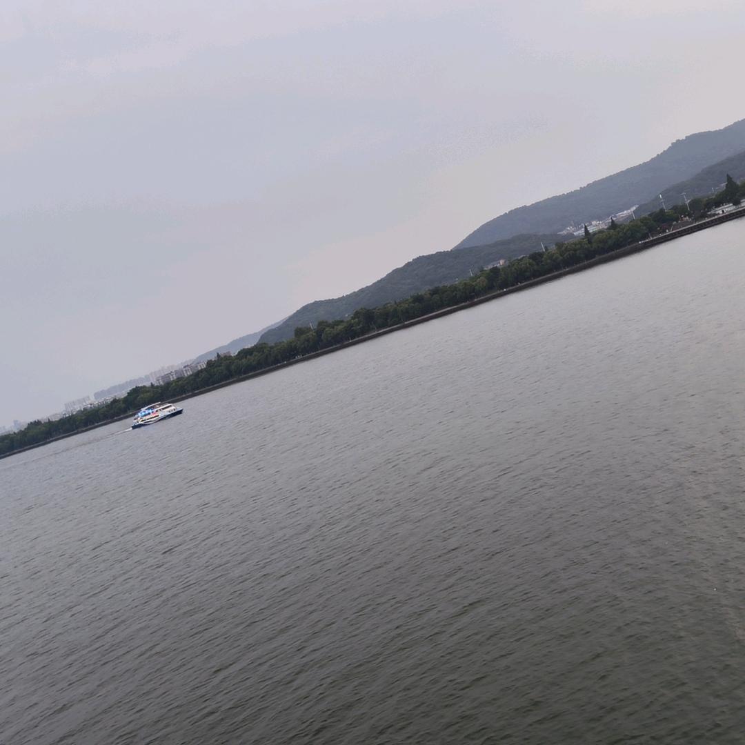 孙悟空