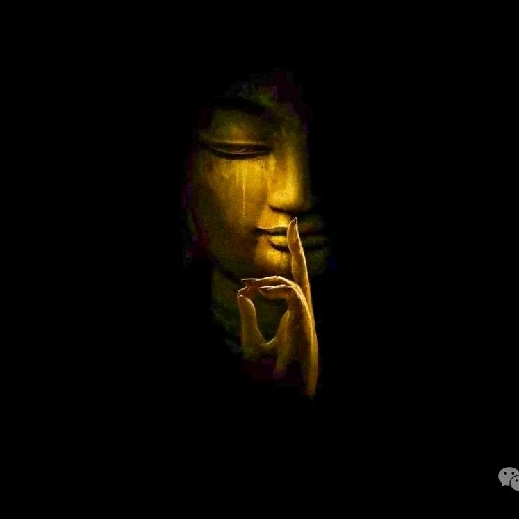 瑶瑶无期