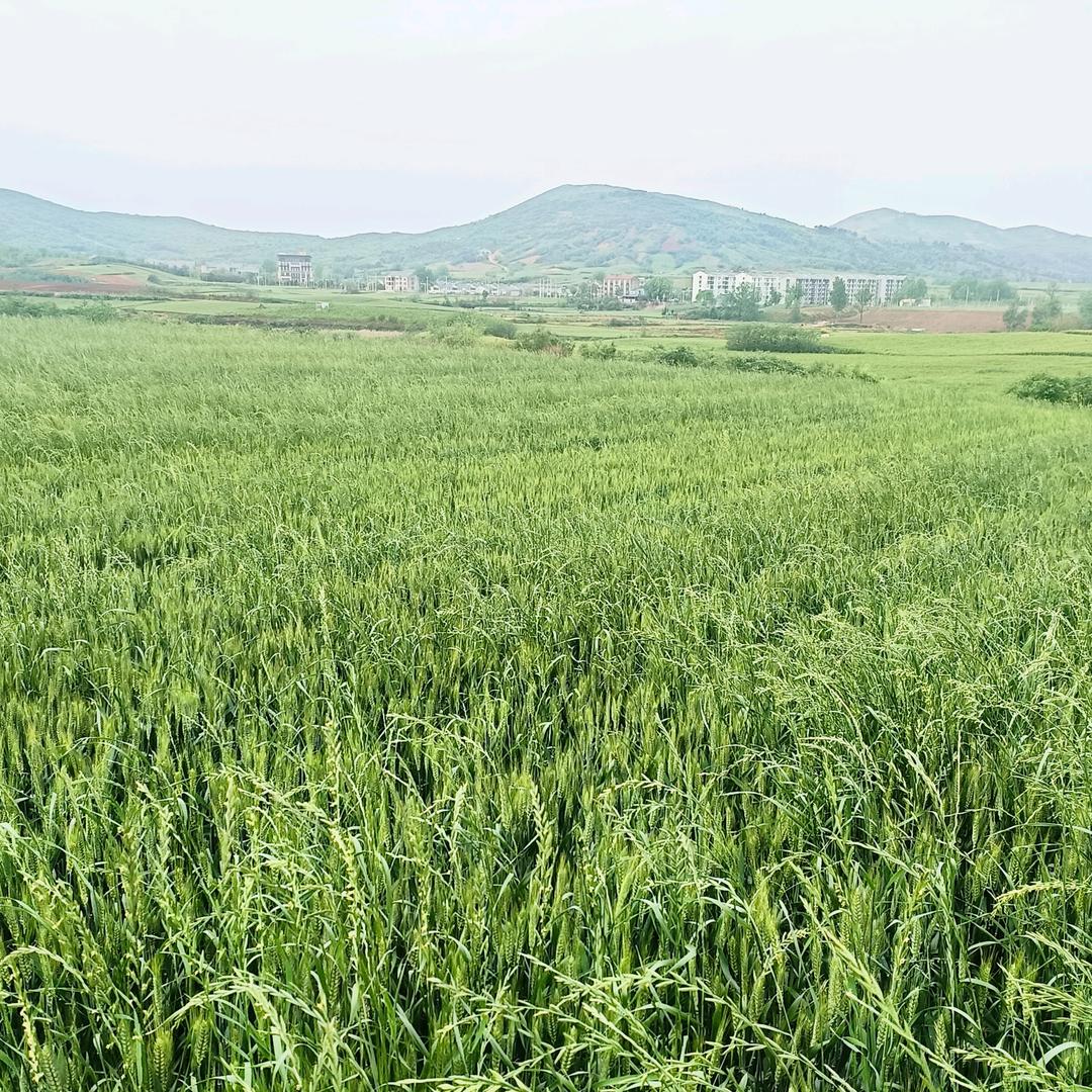 ꧁꫞往事清零꫞꧂