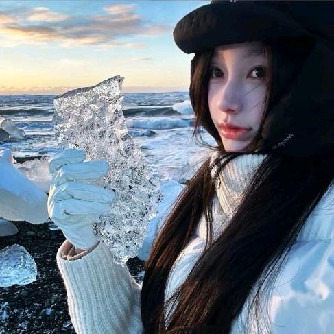 鱼尾仙人掌