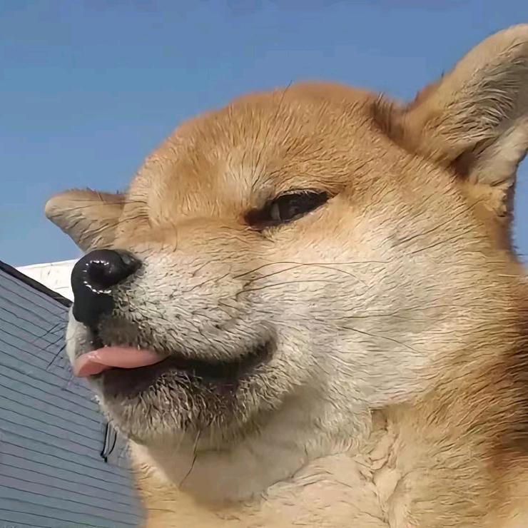 啦啦啦小怪兽啦