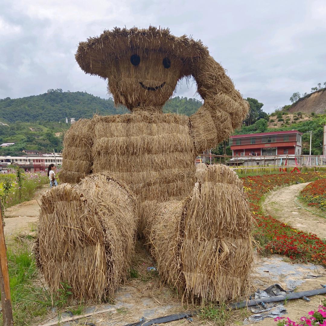 凤福优选