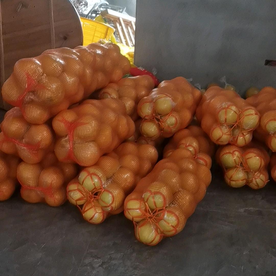 钱多多好运天天跟我来