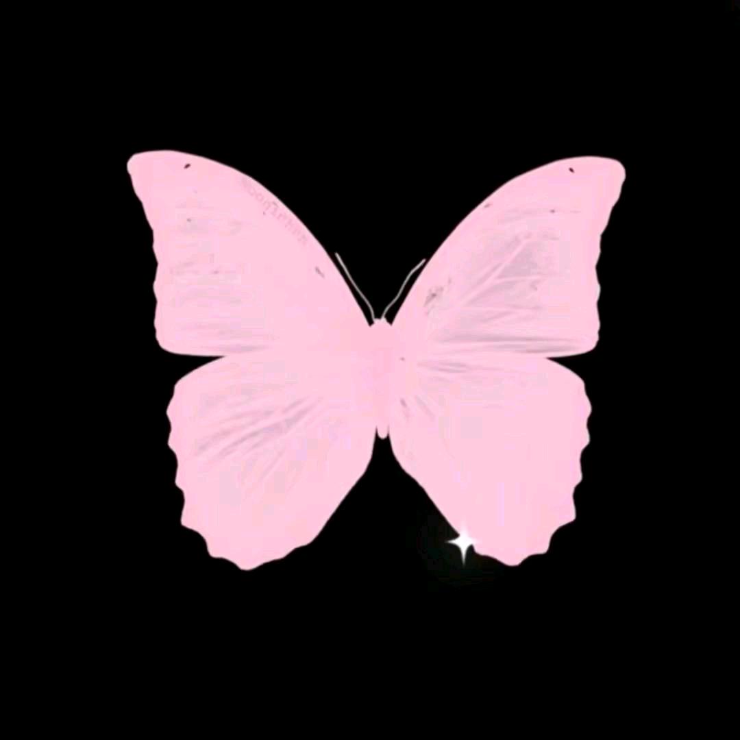 粉色小妹🎀