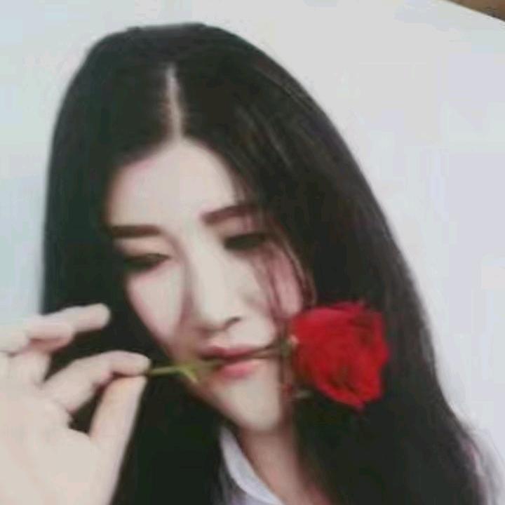 陕西莉莉