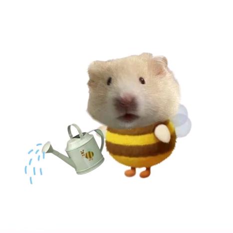 🐭