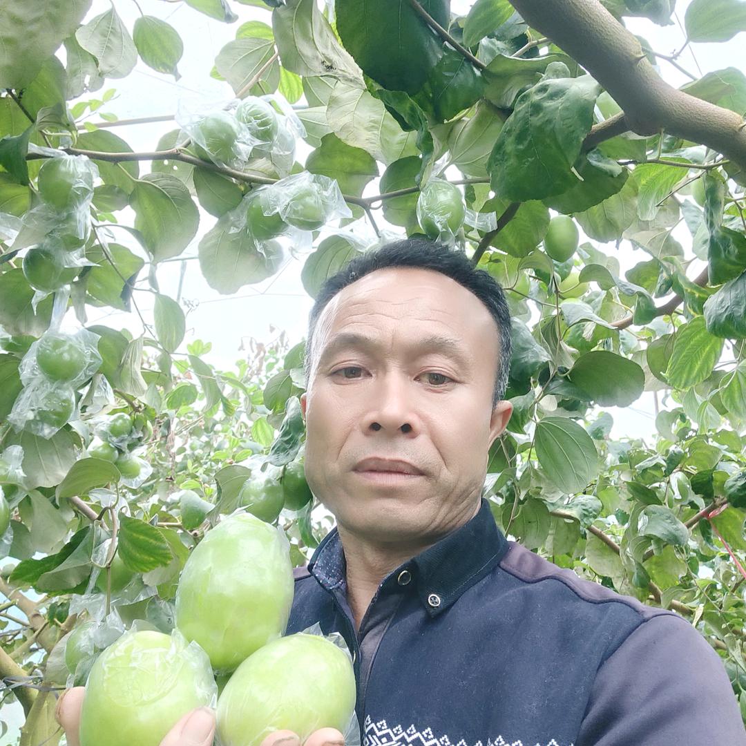 青枣哥，乐昌市廊田诚信农场