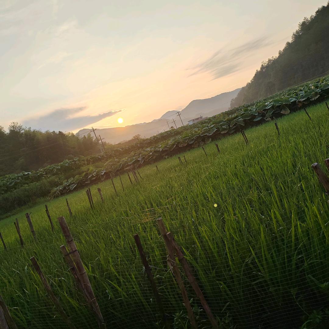 轩甜宝贝