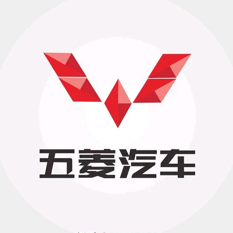 五菱新能源货车-桂林店
