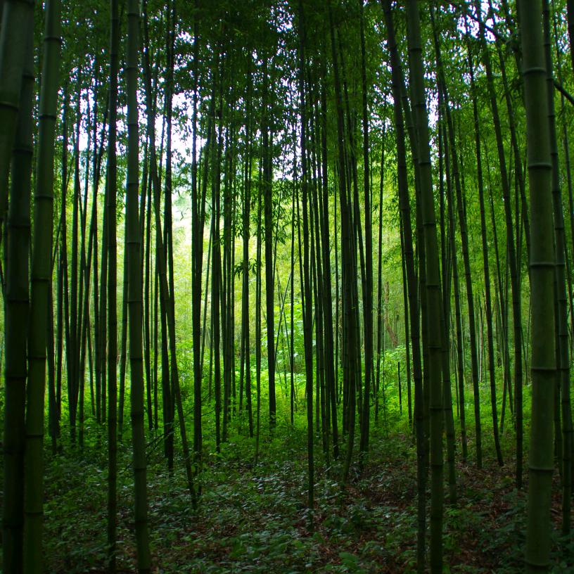 🈯昻张