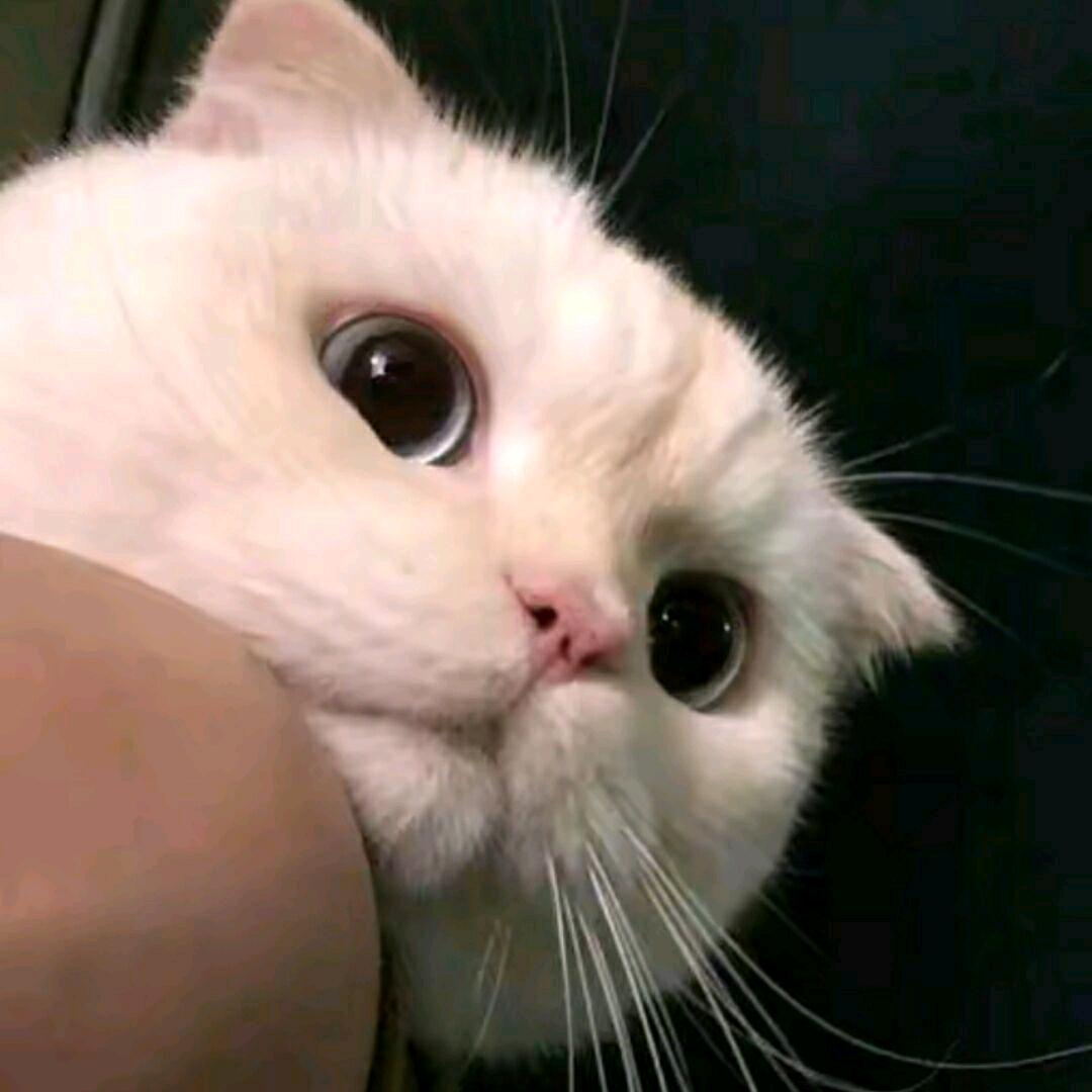 暗夜