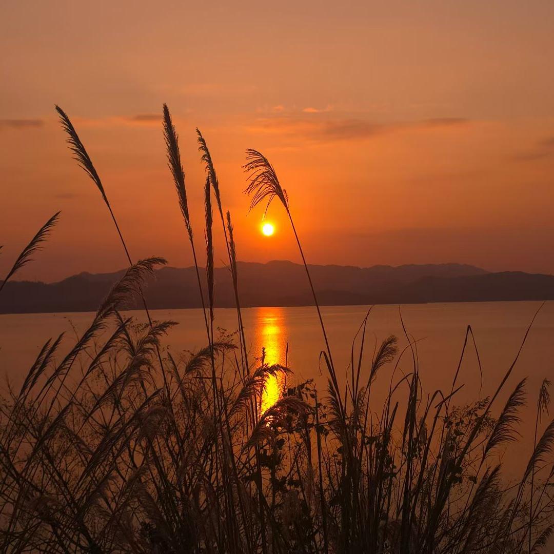 😁健身小趴菜😁