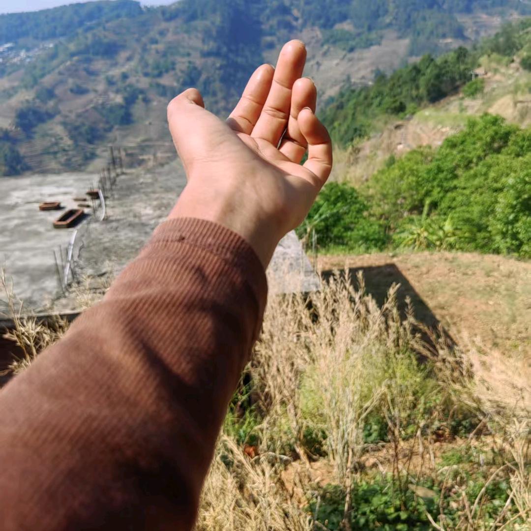 黄草林一组3号芳姐
