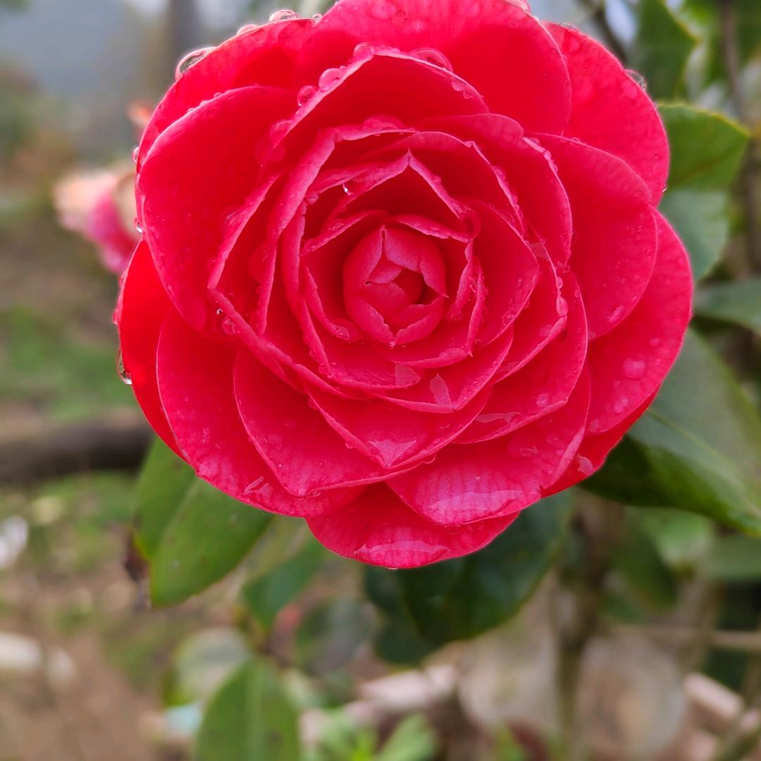 开❤️❤️❤️❤️