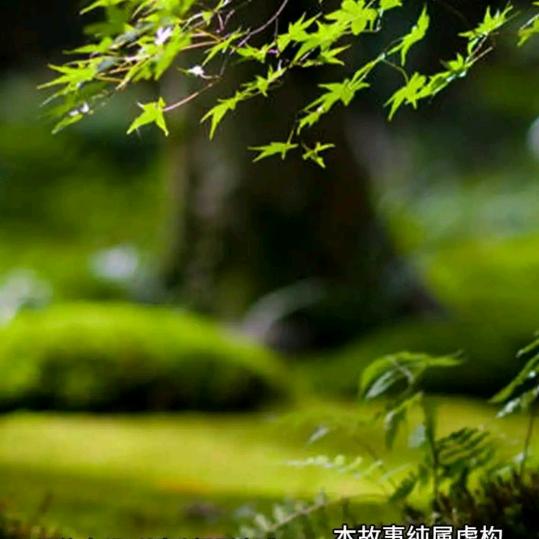 发财好物