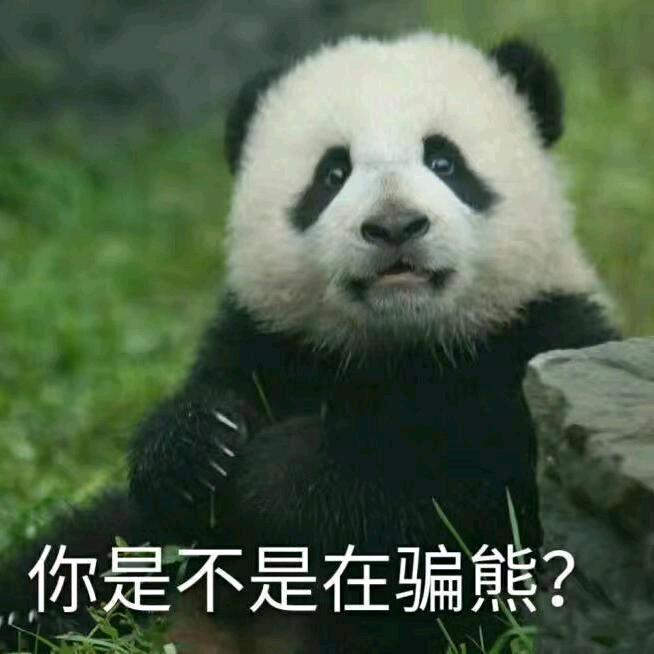熊出没的地方