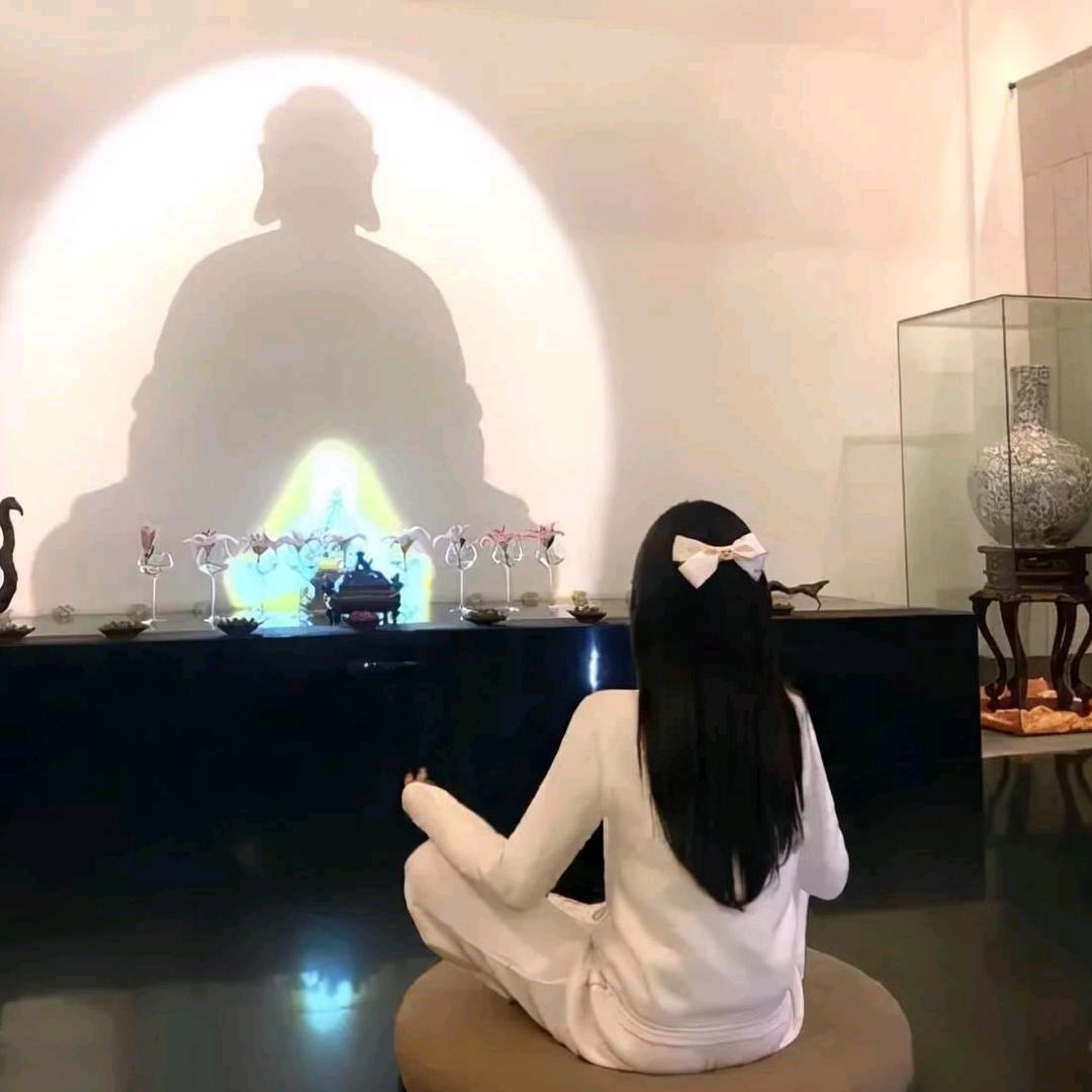 布布