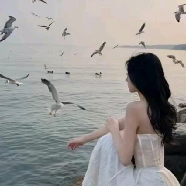 一生所爱1314