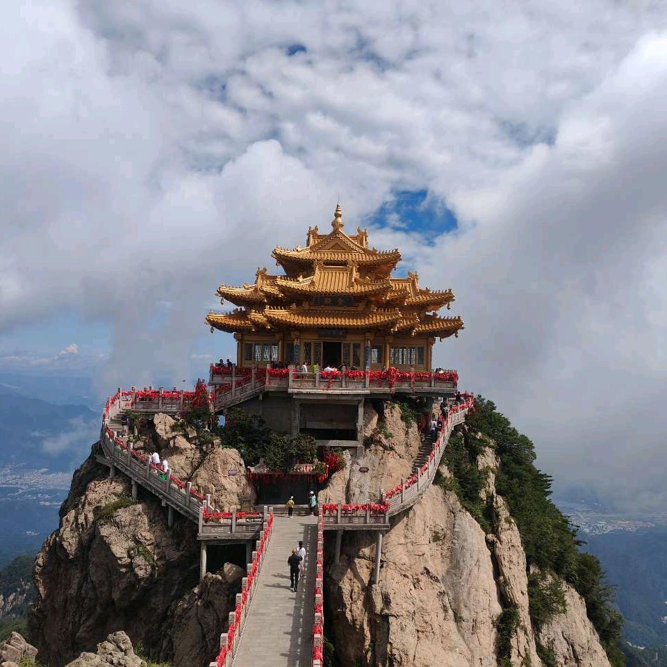 树洞