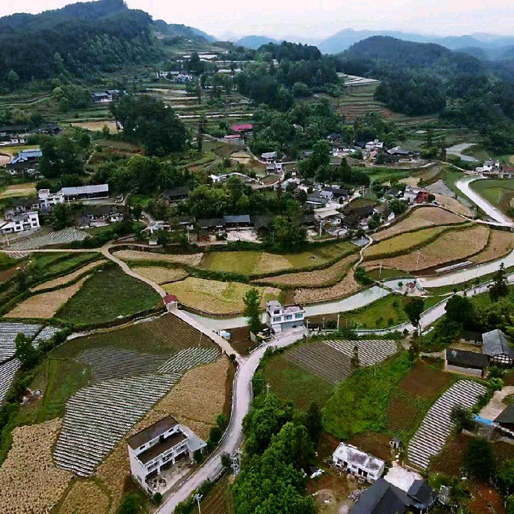 好同志