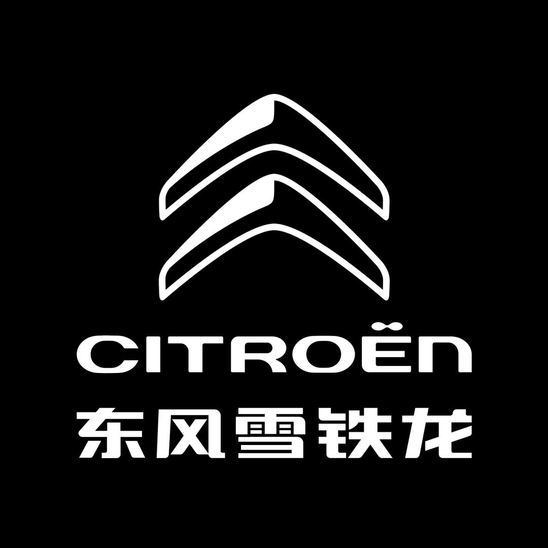 小狮子1号